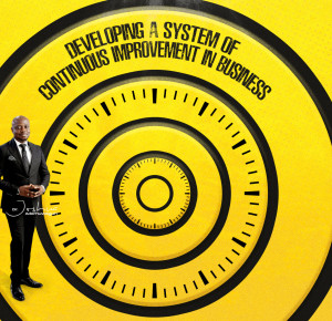 Developing a system of continuous improvement in business
